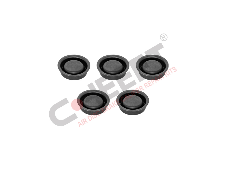 CALIPER PLUG KIT