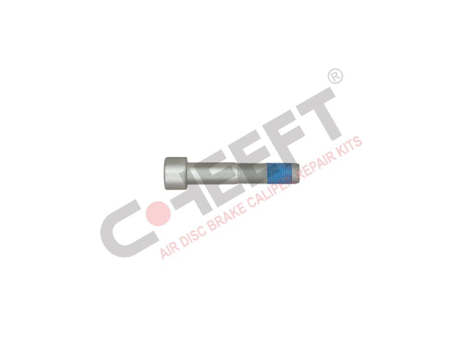 BOLT 16*1,5  100 MM 
