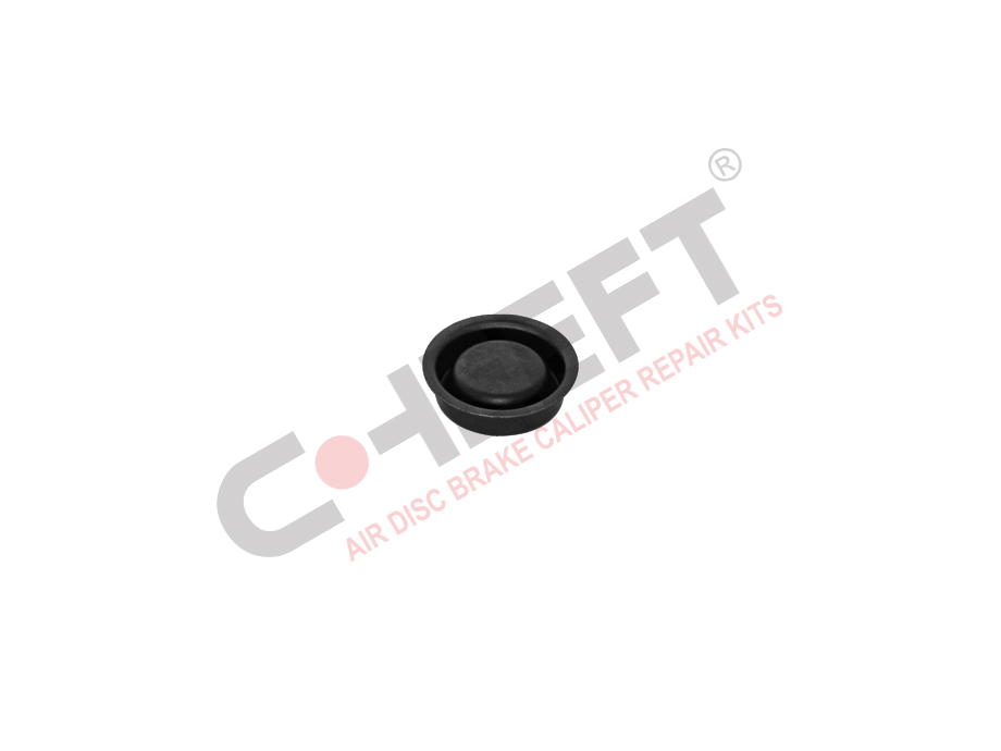 CALIPER PLUG KIT