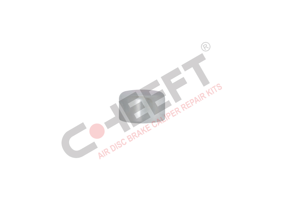 STEEL CAP