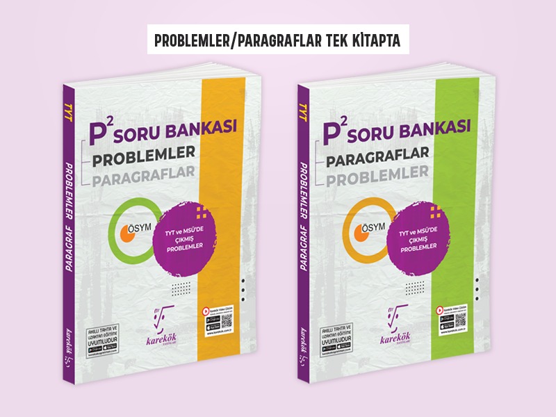 YT P2  PARAGRAF PROBLEMLER -SB- 2024